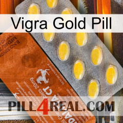 Vigra Gold Pill 42